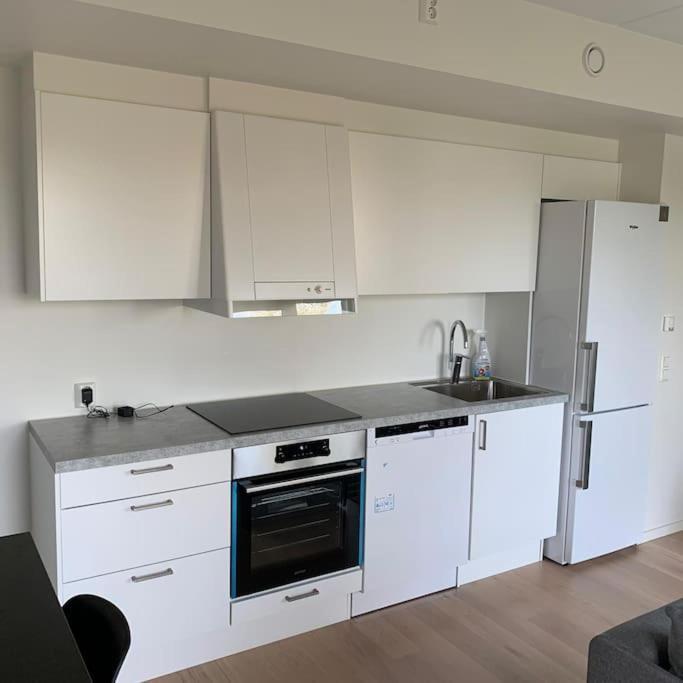 Scandpoint Apartment Fornebu Near Sea Front With Outdoor Walk! Stabekk Exteriér fotografie